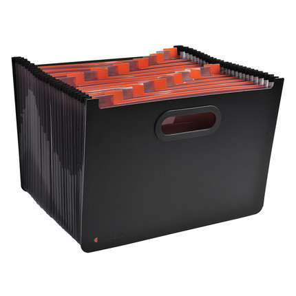 Dokumenten Fächermappe EXADESK Exactive | 24 Fächer stehend.3