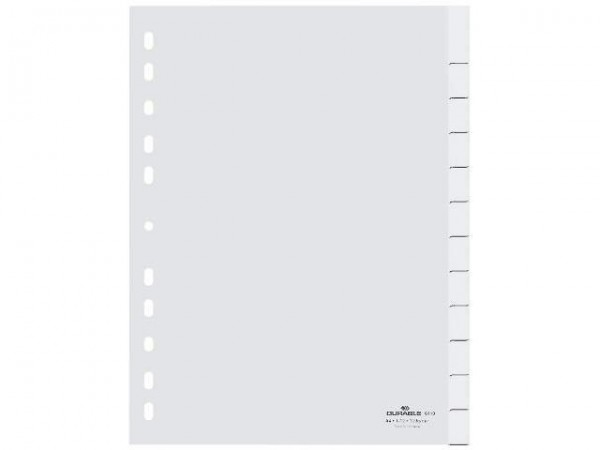 DURABLE blanko Register DIN A4