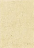256268 256268
