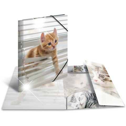 Sammelmappe A3 Glossy Plastik Katzen