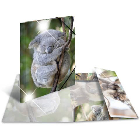 Sammelmappe A3 Glossy Plastik Koala