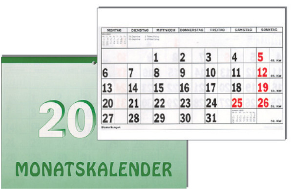 Monatskalender DIN A4 2024 Monat 1 Seite gelocht