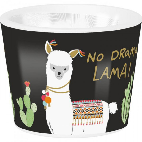 45690_HLLAMA