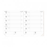 Ersatzeinlage Magister Ersatzeinlage Magister