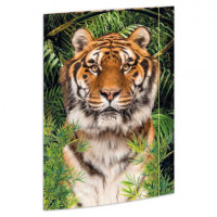 Sammelmappe Din A3 Pappe Tiger Sammelmappe Din A3 Pappe Tiger