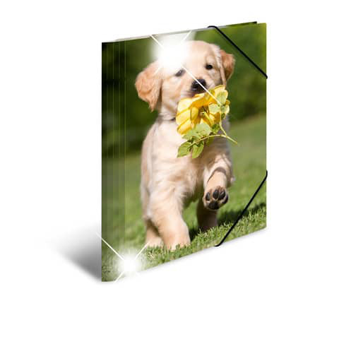 Sammelmappe A3 Glossy Plastik Hunde