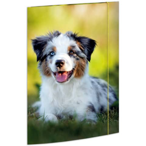 Sammelmappe Din A3 Pappe Australien Shepherd Hund