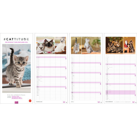 Familienkalender Whiskas Katzen | 5 Spalten | 21 x 45cm