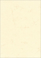 252500 252500
