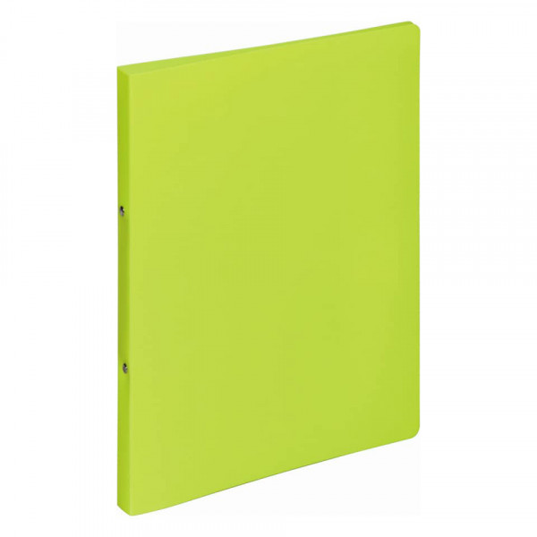 PAGNA Schulordner Ringbuch A4 Lucy Colours grün