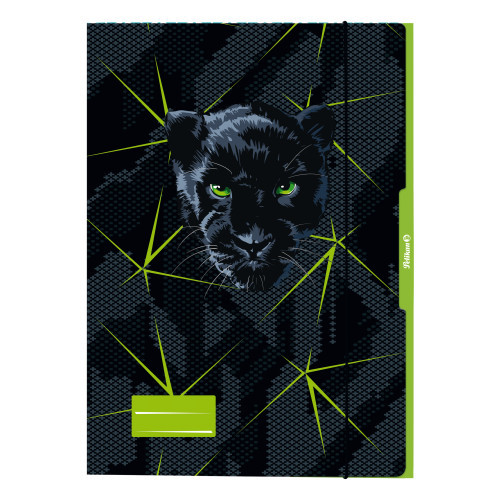 Sammelmappe Din A3 Pappe FSC Puma schwarz