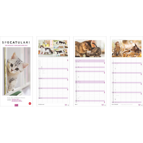 Familienkalender Whiskas Katzen | 5 Spalten | 21 x 45cm