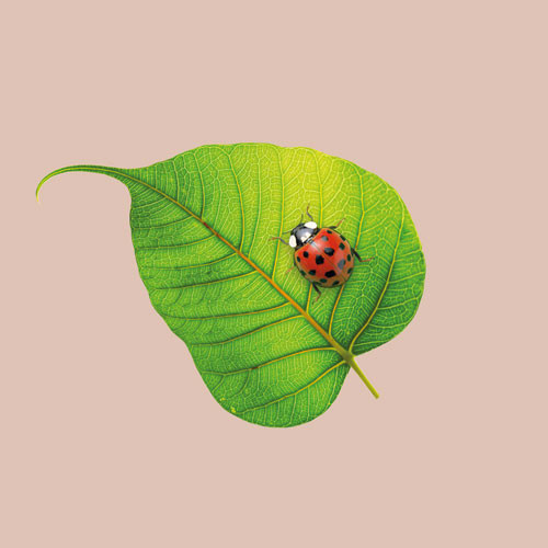 CHIC MIC Serviette Napkin Ladybug